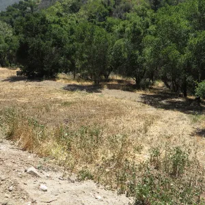 Excess soil deposited on east slope trail
