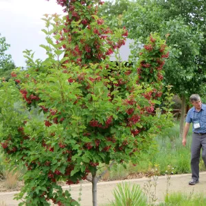Denver Botanic Garden, APGA meeting