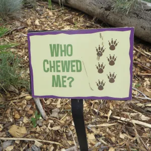 Denver Botanic Garden, Childrens Garden