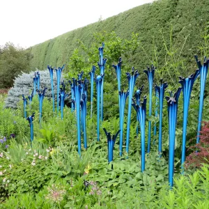 Denver Botanic Garden, APGA meeting. Dale Chihuly scuplture