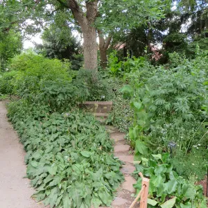 Denver Botanic Garden, APGA meeting