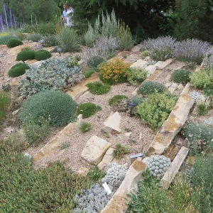 Denver Botanic Garden, APGA meeting. Dale Chihuly scuplture in Rock Alpine Garden