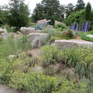 Denver Botanic Garden, APGA meeting. Dale Chihuly scuplture in Rock Alpine Garden