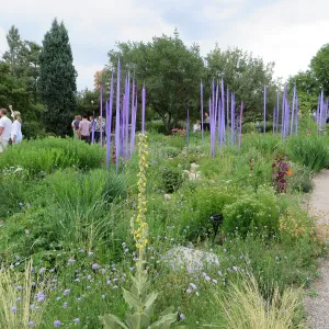 Denver Botanic Garden, APGA meeting. Dale Chihuly scuplture
