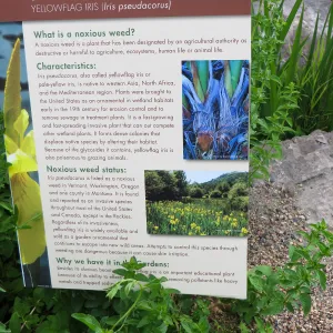 Denver Botanic Garden, APGA meeting, Misdeeds of Noxious Weeds sign