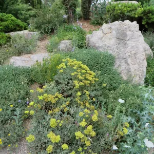 Denver Botanic Garden, APGA meeting
