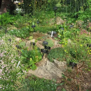 Denver Botanic Garden, APGA meeting
