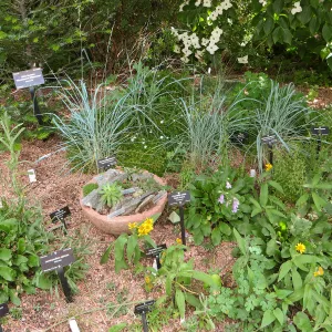 Denver Botanic Garden, APGA meeting