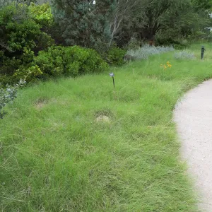 Denver Botanic Garden, APGA meeting