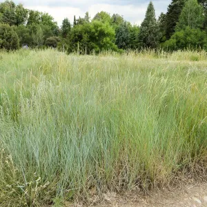 Denver Botanic Garden, APGA meeting