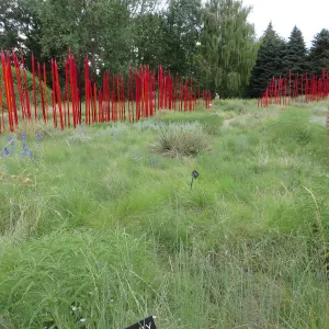 Denver Botanic Garden