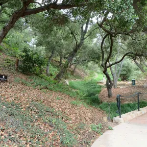 Santa Barbara County Bowl garden, designed by Susan van Atta