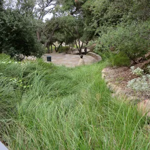 Santa Barbara County Bowl garden, designed by Susan van Atta