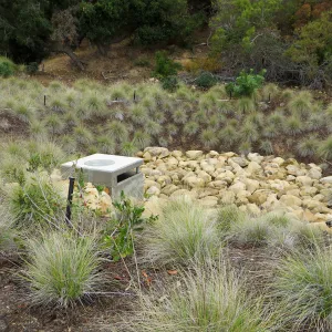 Santa Barbara County Bowl garden, designed by Susan van Atta