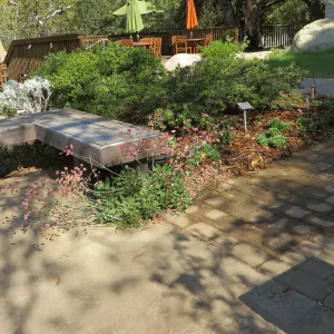 SBBG Home Demo Garden