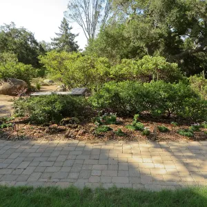 SBBG Home Demo Garden