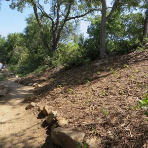 Above Tea House, Lower Arroyo, new trail