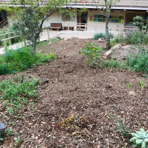 Arroyo after completion of sewer, below entrance