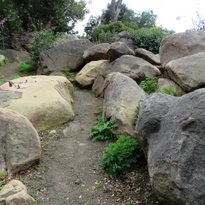 Boulders in Manzanita Section