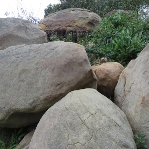 Boulders in Manzanita Section