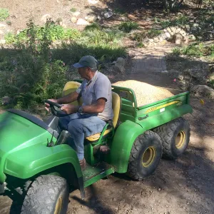 Spreading California gold gravel in Arroyo
