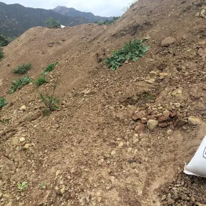 Soil pile, uppper parking lot