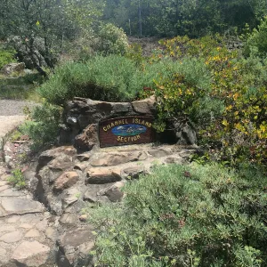 Signage at Tilden Regional Parks Botanic Garden