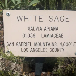 Plant signs at Tilden Regional Parks Botanic Garden