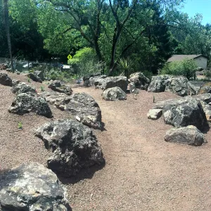 Unplanted bed at Tilden Regional Parks Botanic Garden