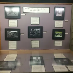 Exhibits at Tilden Regional Parks Botanic Garden