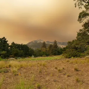 Meadow in smoke-filtered light from Rey Fire
