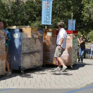 2016 Herbarium Collection Move, loading trucks