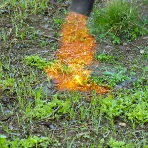 Thermal weed management in the Meadow