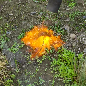 Thermal weed management in the Meadow