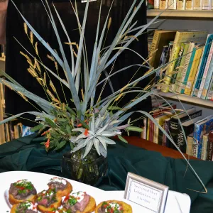 2016 Fall Native Plant Sale Preview Party