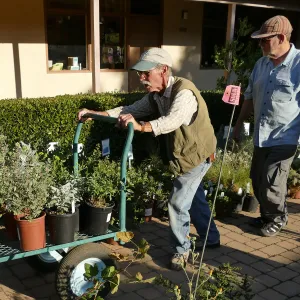 2016 Fall Native Plant Sale Preview Party