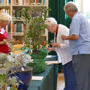 2016 Fall Native Plant Sale Preview Party, silent auction
