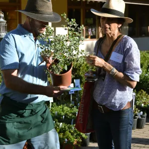 2016 Fall Native Plant Sale Preview Party