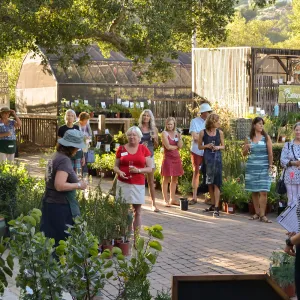 2016 Fall Native Plant Sale Preview Party