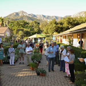 2016 Fall Native Plant Sale Preview Party