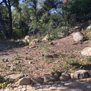 Brush clearing at Dell Garden site