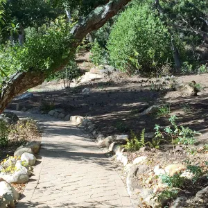 Installation of the Wooded Dell