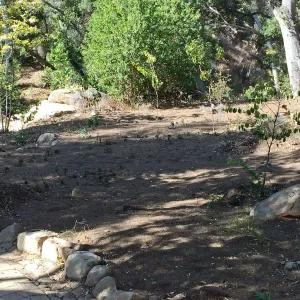 Installation of the Wooded Dell