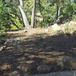 Installation of the Wooded Dell