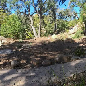 Installation of the Wooded Dell