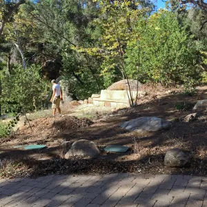Installation of the Wooded Dell