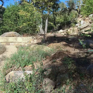 Installation of the Wooded Dell