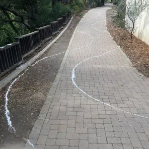 Laying out the path in the Home Demo Garden
