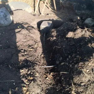 Installation of the Water Wise Home Demonstration Garden