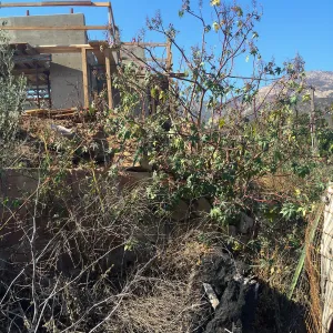 Pritzlaff Conservation Center construction, East side of site, Historic Wall